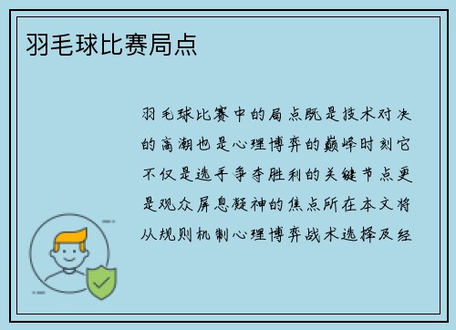 羽毛球比赛局点